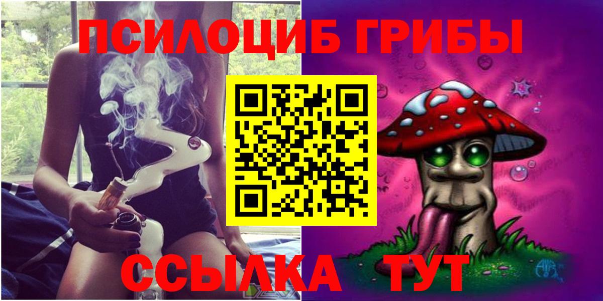 Псилоцибиновые грибы Psilocybine cubensis  Вход с VPN  Альметьевск 